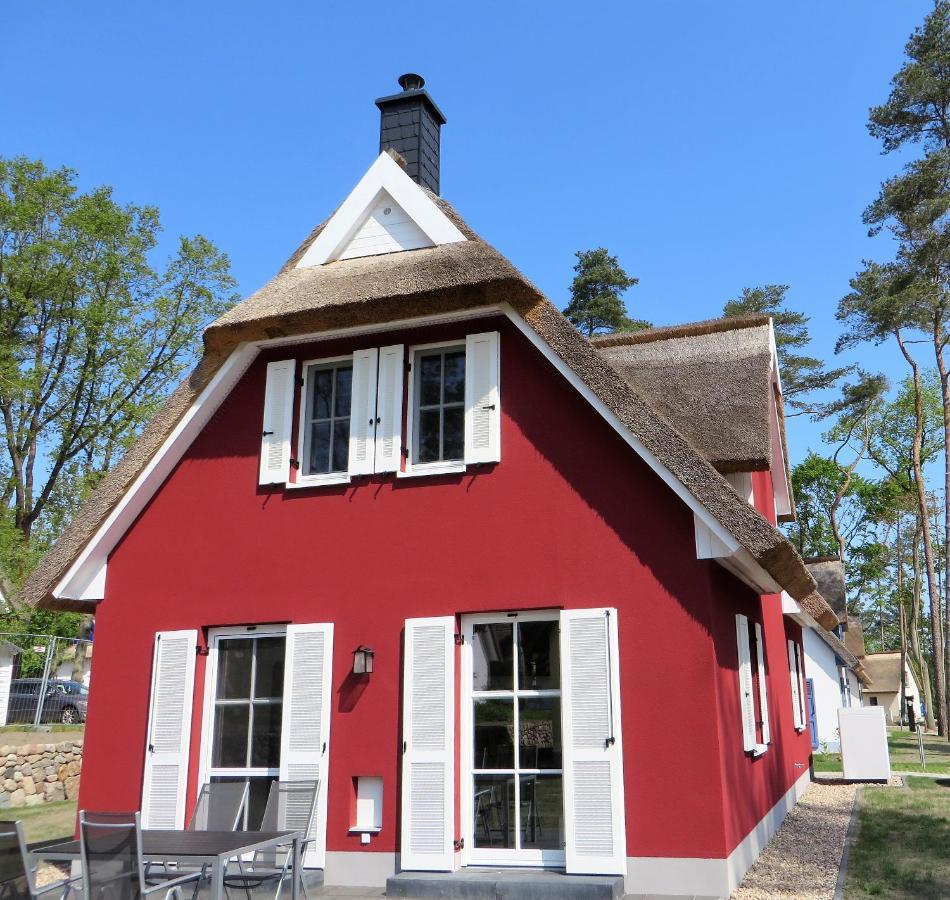 Reetdachhaus Am Haff Mit Sauna, Terrasse, Wlan Zirchow Eksteriør billede